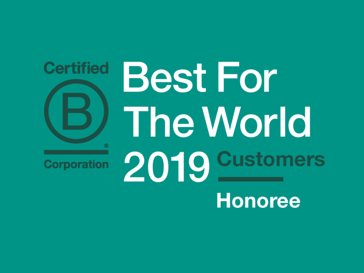 Strategy Arts Recognized as a “Best For The World” B Corp